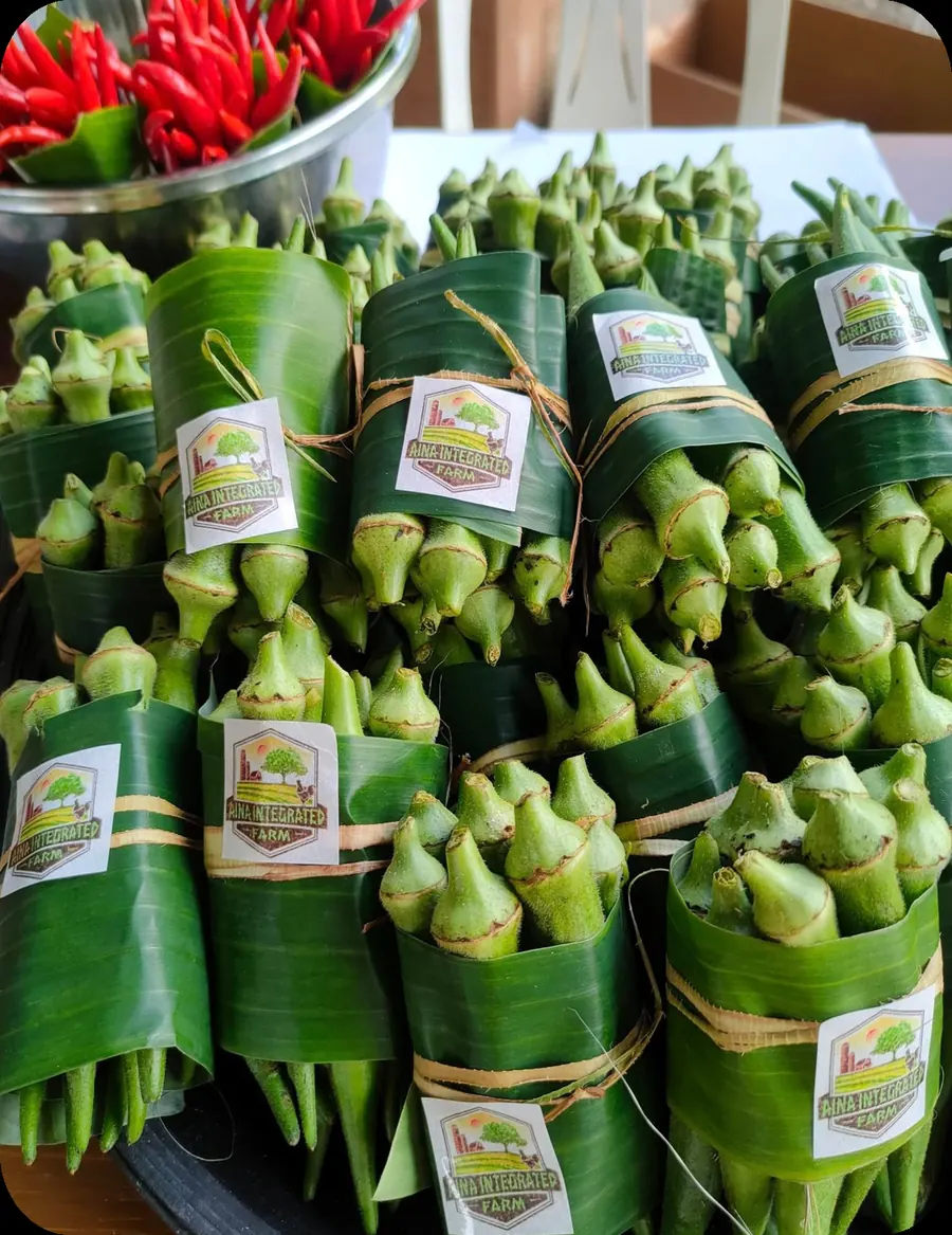Bundles of fresh okra wrapped in banana leaves and labeled by AINA Integrated Farm, with red chilies behind.